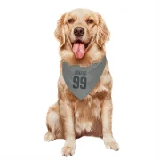 Aaron Donald Los Angeles Rams  Dog & Cat Pet Bandana - Gray