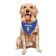 Ahkello Witherspoon Los Angeles Rams  Dog & Cat Pet Bandana - Royal