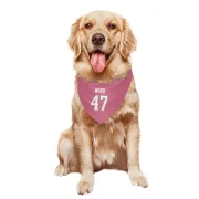 Alex Ward Los Angeles Rams  Dog & Cat Pet Bandana - Pink