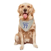 Andrew Whitworth Los Angeles Rams   Bone Dog & Cat Pet Bandana