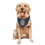 Beaux Limmer Los Angeles Rams  Dog & Cat Pet Bandana - Navy