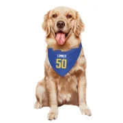 Beaux Limmer Los Angeles Rams  Dog & Cat Pet Bandana - Royal