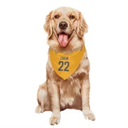 Blake Corum Los Angeles Rams  Dog & Cat Pet Bandana - Gold