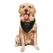 Brennan Jackson Los Angeles Rams  Service Dog & Cat Pet Bandana - Black