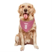 Brett Maher Los Angeles Rams  Dog & Cat Pet Bandana - Pink