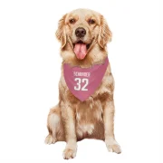 Cody Schrader Los Angeles Rams  Dog & Cat Pet Bandana - Pink