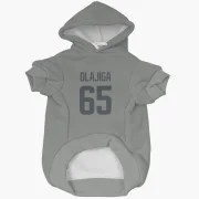 David Olajiga Los Angeles Rams  Dog & Cat Pet Hoodie - Gray