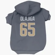 David Olajiga Los Angeles Rams  Dog & Cat Pet Hoodie - Navy