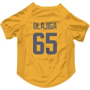 David Olajiga Los Angeles Rams  Dog & Cat Pet Jersey - Gold