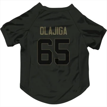 David Olajiga Los Angeles Rams  Service Dog & Cat Pet Jersey - Black