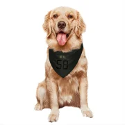 Elias Neal Los Angeles Rams  Service Dog & Cat Pet Bandana - Black