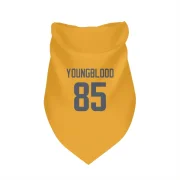 Jack Youngblood Los Angeles Rams  Dog & Cat Pet Bandana - Gold