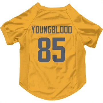 Jack Youngblood Los Angeles Rams  Dog & Cat Pet Jersey - Gold