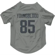 Jack Youngblood Los Angeles Rams  Dog & Cat Pet Jersey - Gray