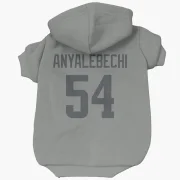 Kelechi Anyalebechi Los Angeles Rams  Dog & Cat Pet Hoodie - Gray