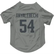 Kelechi Anyalebechi Los Angeles Rams  Dog & Cat Pet Jersey - Gray