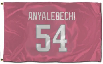 Kelechi Anyalebechi Los Angeles Rams  Flag (3 X 5) - Pink