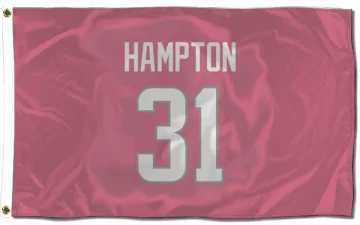 Nick Hampton Los Angeles Rams  Flag (3 X 5) - Pink