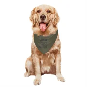 Quindell Johnson Los Angeles Rams  Dog & Cat Pet Bandana - Olive