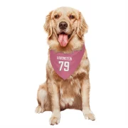 Rob Havenstein Los Angeles Rams  Dog & Cat Pet Bandana - Pink